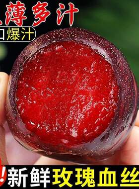 玫瑰血丝李黑布林红心李子新鲜应季水果大果批发当季整箱恐龙蛋