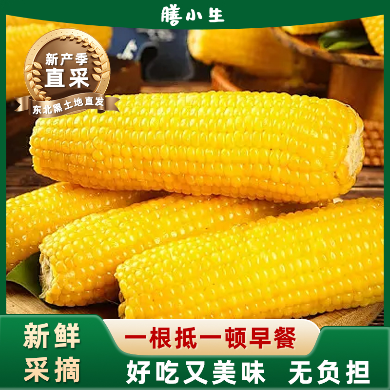 东北甜糯玉米棒新鲜黏玉米非转基因代餐鲜食玉米棒苞米