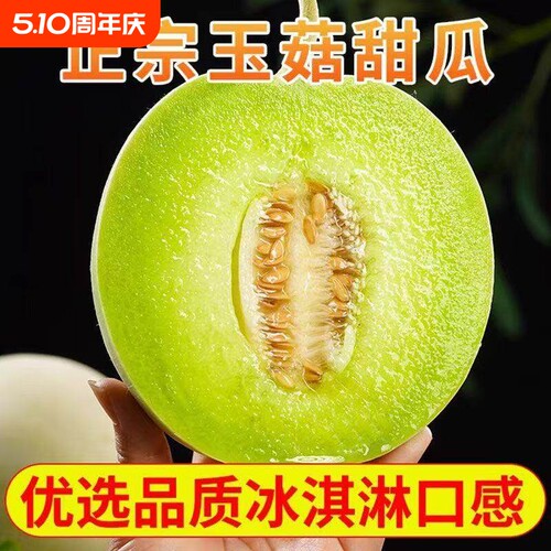 正宗山东冰淇淋玉菇甜瓜新鲜水果当季小香瓜蜜瓜甜瓜白瓜现摘