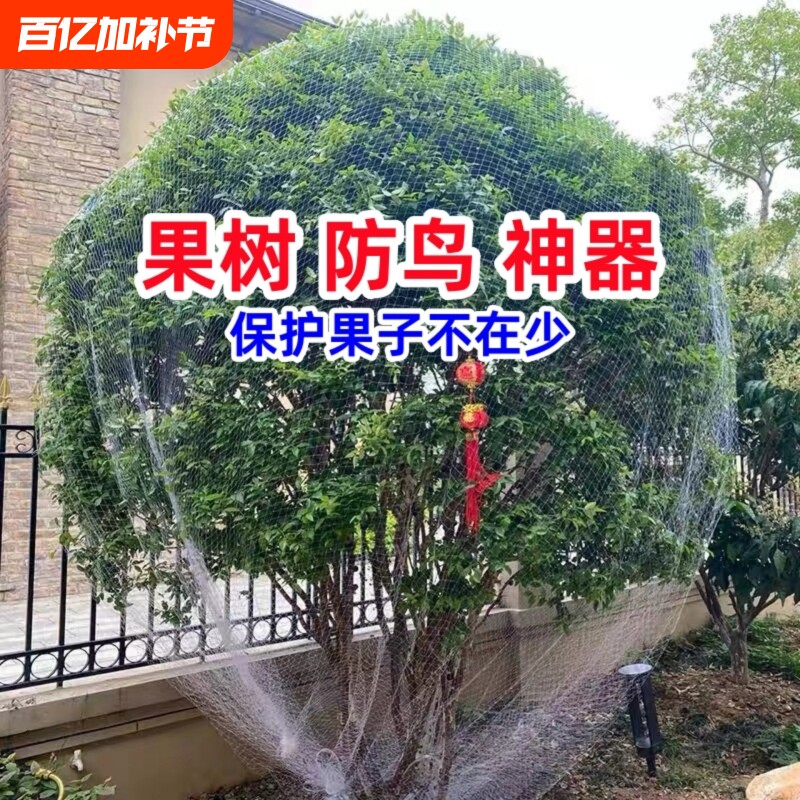 防鸟网防鸟罩嘉宝果树网罩樱桃葡萄果园专用网神器纱网尼龙防护网