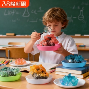 石头开花儿童玩具科学趣味实验套装小学生DIY石手工制作种子化学