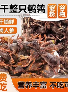 冻干鹌鹑猫咪宠物狗零食增肥发腮零食冻干粮生骨肉小鹌鹑猫咪零食