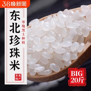 大米10kg装新米圆粒珍珠米粳米东北小町包邮农家东北大米20斤
