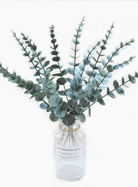 尤加利叶金钱叶枝仿真绿植假花摆件插花北欧风装饰摆放落地现代