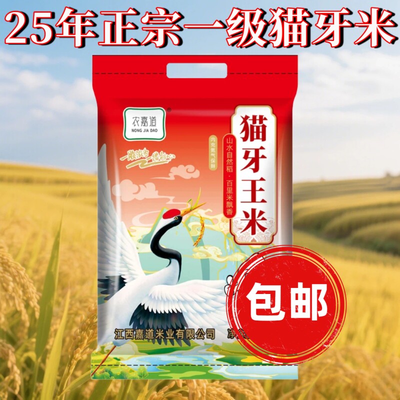 【25年新米】正宗一级猫牙米南方长粒农家大米蛋炒饭香米晚稻新米