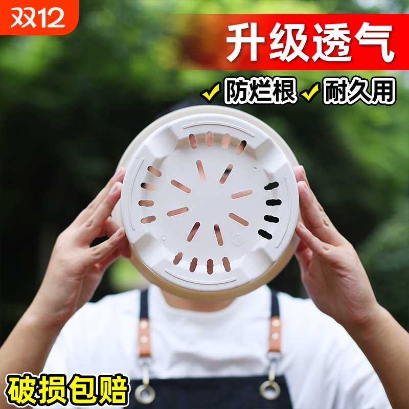 简约塑料米白色加仑盆