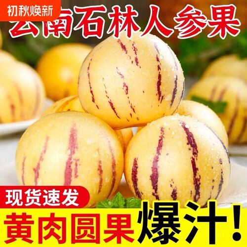 新鲜应季人参果10斤大果云南石林