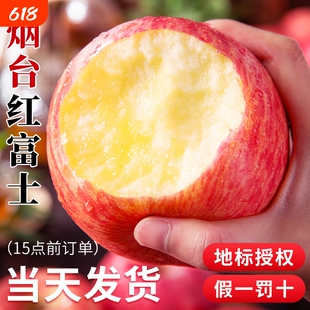 烟台红富士苹果10应当季斤新鲜水果山东栖霞冰糖心丑平果年货节