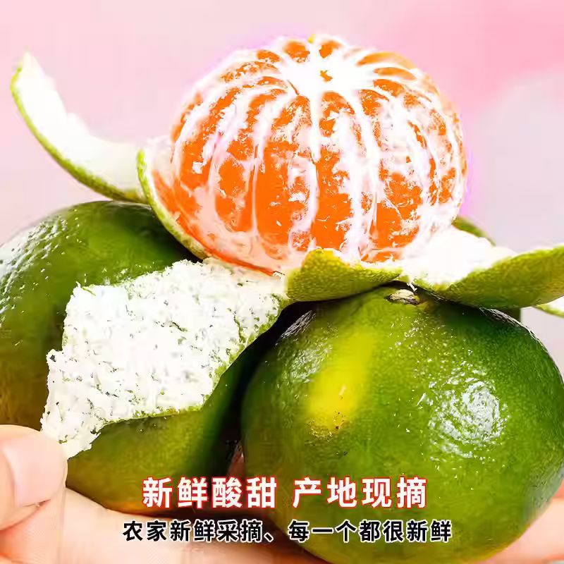 湖北宜昌蜜桔带箱3斤酸甜可口风味十足产地直发整箱包邮