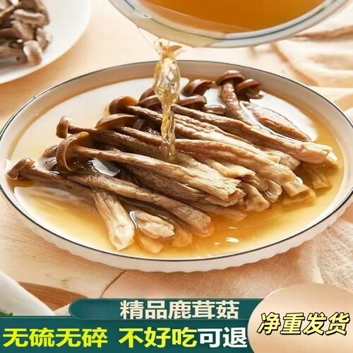 无干燥剂发货高山鹿茸菇干货