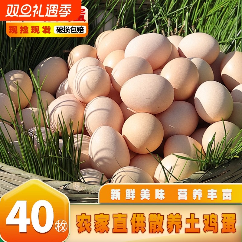 现捡现发正宗农家散养土鸡蛋新鲜农村虫草鸡蛋柴鸡蛋营养笨鸡蛋