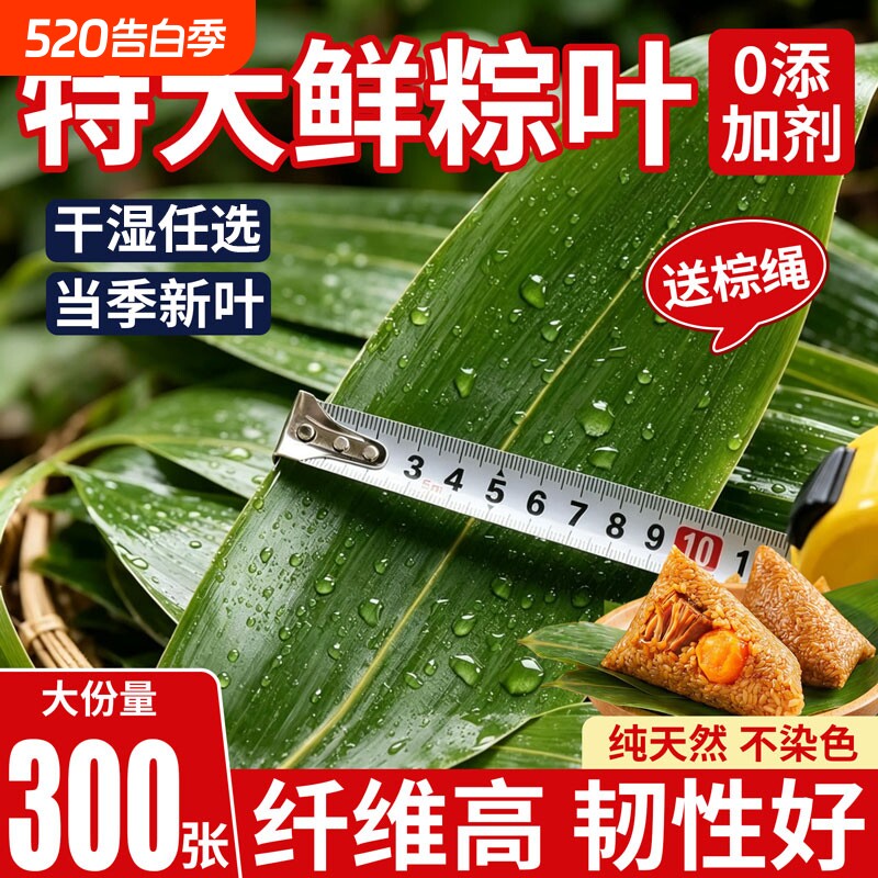 粽子叶新鲜粽叶大号新叶包粽子专用的叶子端午节商用批发干粽叶大
