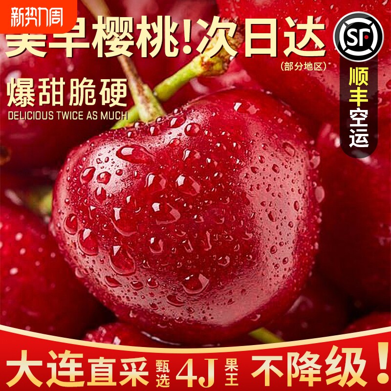 大连美早樱桃新鲜水果国产车厘子当季大樱桃脆甜礼盒装顺丰包邮5j