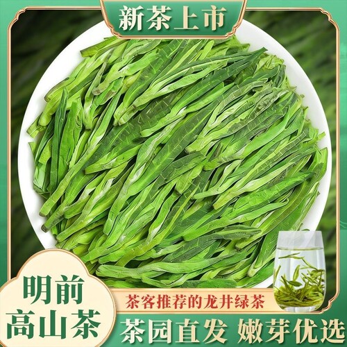 正宗龙井茶茶叶2026新茶高山明前绿茶春茶浓香型口粮茶自己喝茶农
