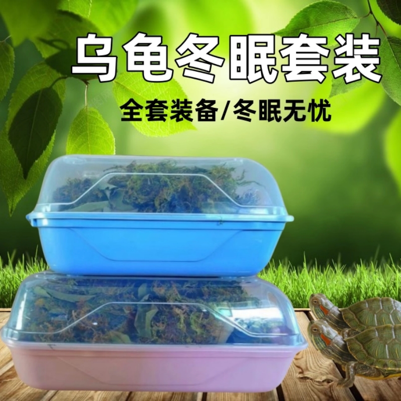 乌龟冬眠箱专用苔藓爬宠饲养盒