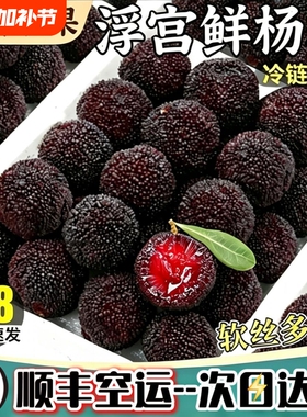 【顺丰空运】浮宫杨梅新鲜现摘孕妇整箱大果冷链包邮水果早梅彩箱