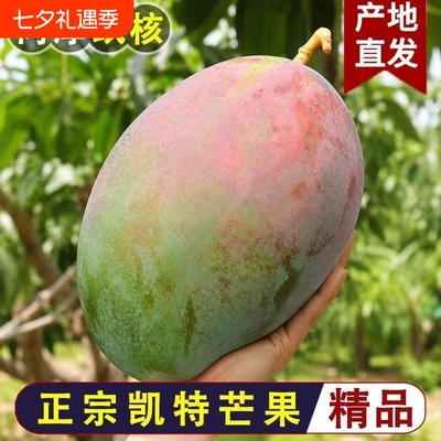 四川攀枝花凯特芒果新鲜采应季斤水果芒果整箱包邮特大青忙果当季