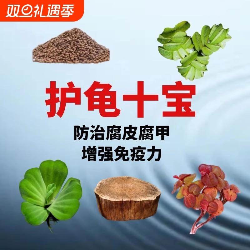 养龟专用缸龙眼木晒台巴西龟造景摆件水质水培浮萍真水草木头十宝