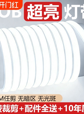220v灯带led灯条吊顶户外防水客厅自粘线形灯家用COB超亮强光氛围