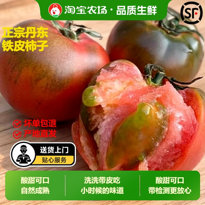 丹东草莓柿子番茄铁皮柿子绿腚新鲜生吃西红柿自然熟正宗东北包邮