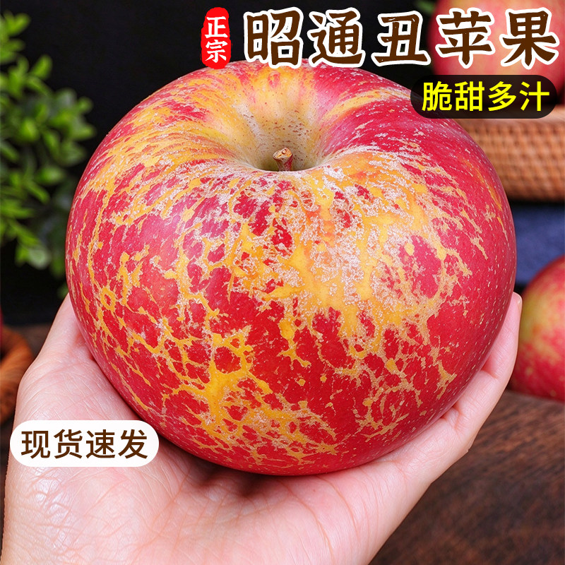 正宗昭通丑苹果新鲜水果现摘冰糖心脆甜平果应当季包邮整箱红富士