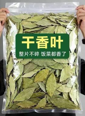 新鲜香叶无干燥剂新货广西无硫优质香料卤料商用食用批发家用散装