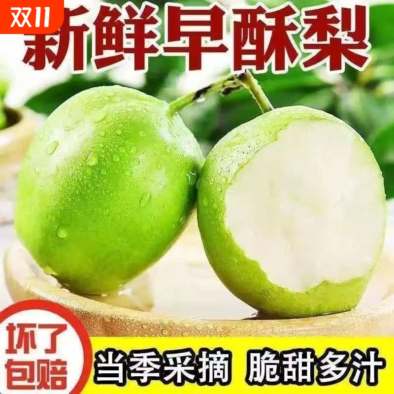 正宗早酥梨青皮梨新鲜孕妇水果爆整箱小香梨薄皮包邮当季现摘产地