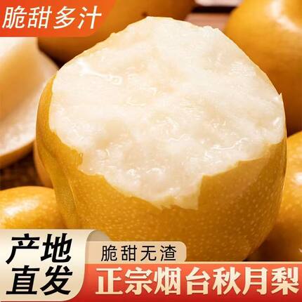 正宗秋月梨山东莱阳特产冰糖羊脂梨子新鲜水果脆甜多汁产地发货