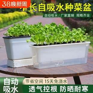种葱阳台种菜盆蔬菜专用种植箱超窄窗沿边长方形花盆透明懒人神器