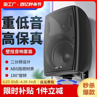 先科P6壁挂音响音箱店铺专用喇叭