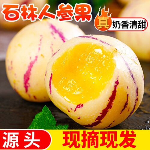 石林人参果树上熟风化石新鲜应季整箱果水果黄肉圆果包邮现摘源头