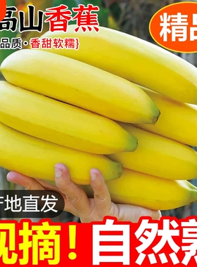 高山青皮甜香蕉新鲜水果自然熟无添加当季现摘现发绿蕉绿色香甜糯