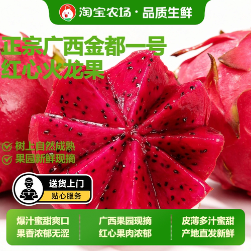 香甜红心火龙果金都一号