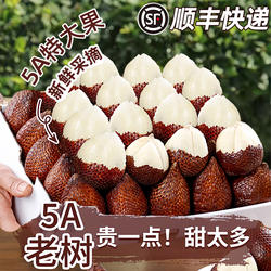 印尼蛇皮果4斤新鲜水果进口热带稀有记忆果2当季沙叻整箱顺丰包邮