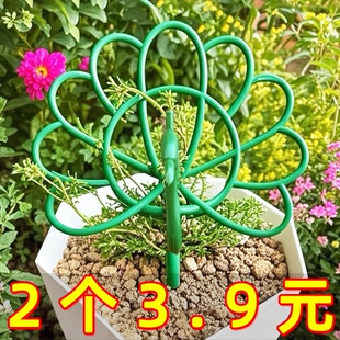 孔雀造型支撑杆花架太阳支架多层支撑架棒棒糖固定架固定蟹爪植物