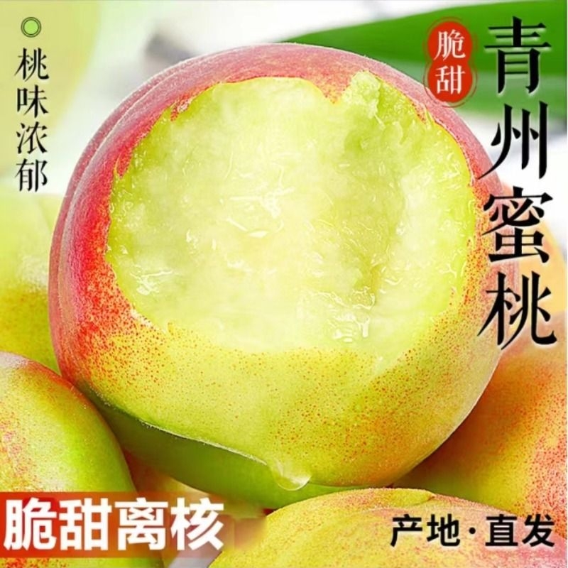 13左右正宗山东青州蜜桃带箱5斤
