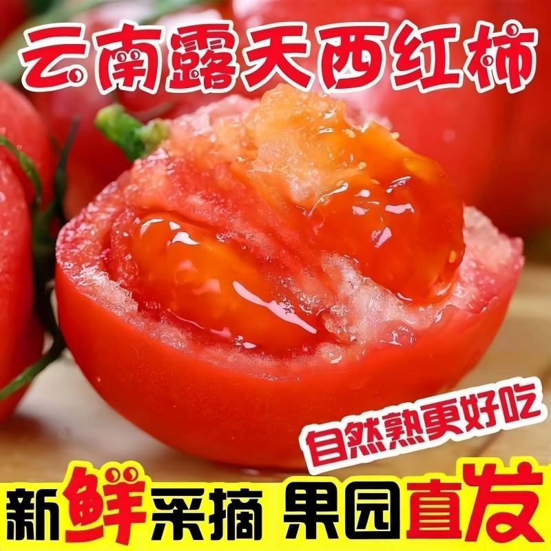 云南普罗旺斯孕妇水果当季沙瓤西红柿自然熟新鲜生吃番茄蔬菜
