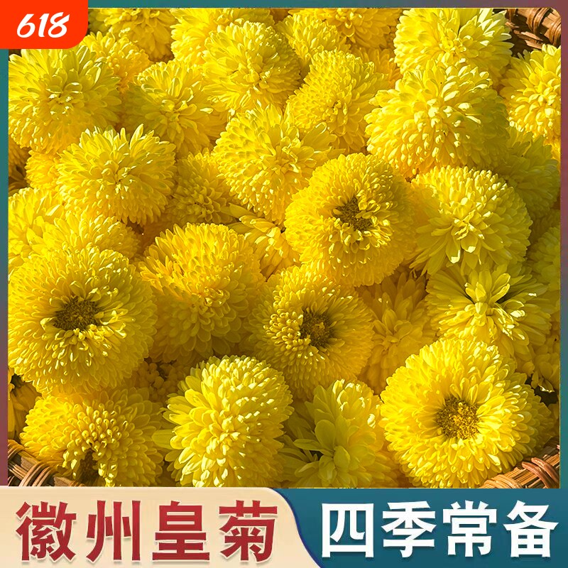 菊花茶徽州皇菊婺源皇菊500g黄山贡菊黄菊花草茶散装泡水非特级