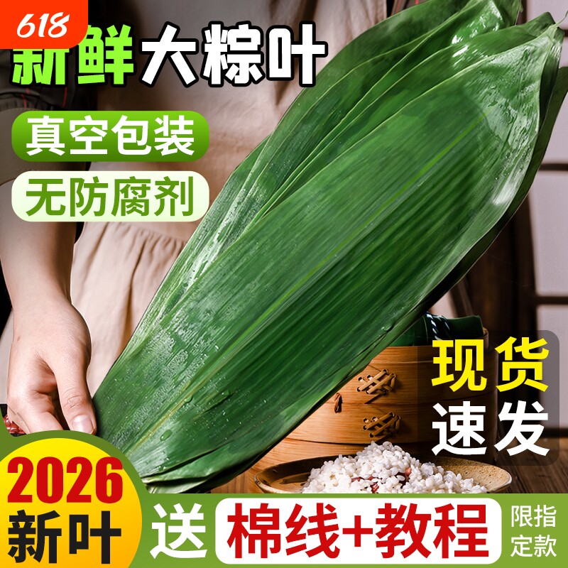粽叶新鲜粽子叶大号特现摘包棕专用的干端午家商批发旗舰店野生箬