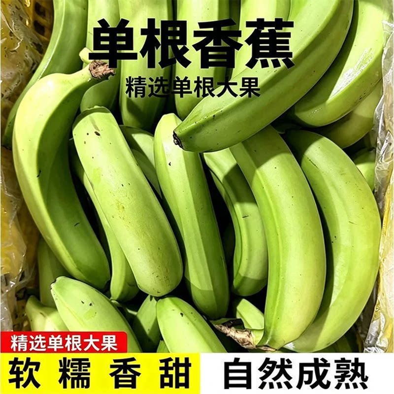 正宗广西高山大香蕉当季新鲜水果青皮香蕉现摘需甜蕉包邮自然熟