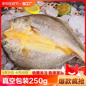 宁德市黄鱼鲞250g*5条黄花鱼冷冻海鲜批发水产餐饮电商黄瓜鱼