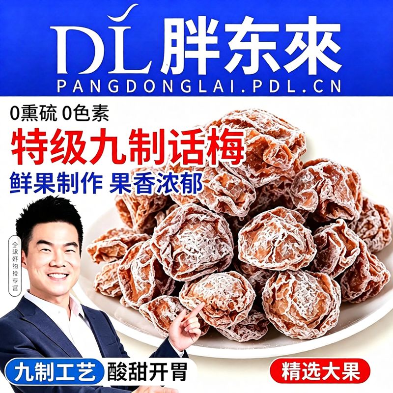 话梅干正宗九制话梅咸酸梅子话梅皇蜜饯甜果特产零食青梅好吃酸甜