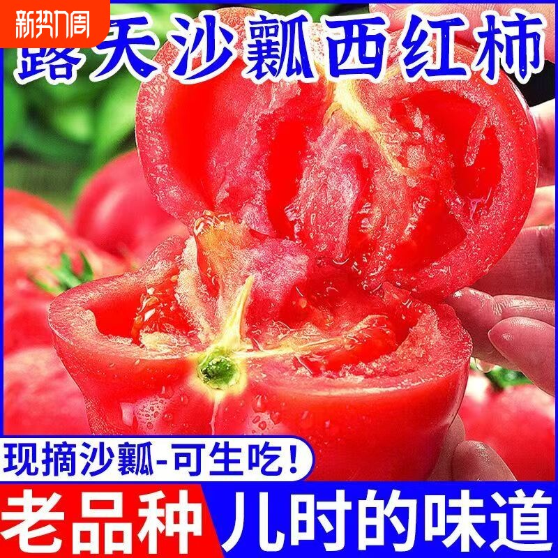 老品种无催熟云南露天沙瓤西红柿现摘可生吃番茄当季老人儿童蔬菜