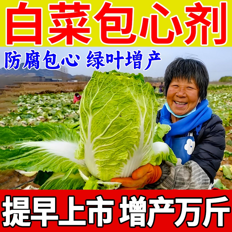 白菜防腐包心剂调节剂大白菜甘蓝包心花菜专用中量元素水溶叶面肥