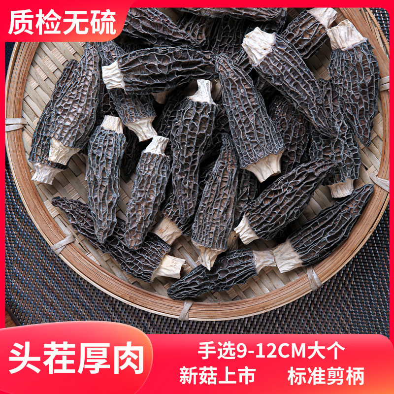 云南羊肚菌26年干货野生100g菌菇食材美味营养甄选无硫父母有机