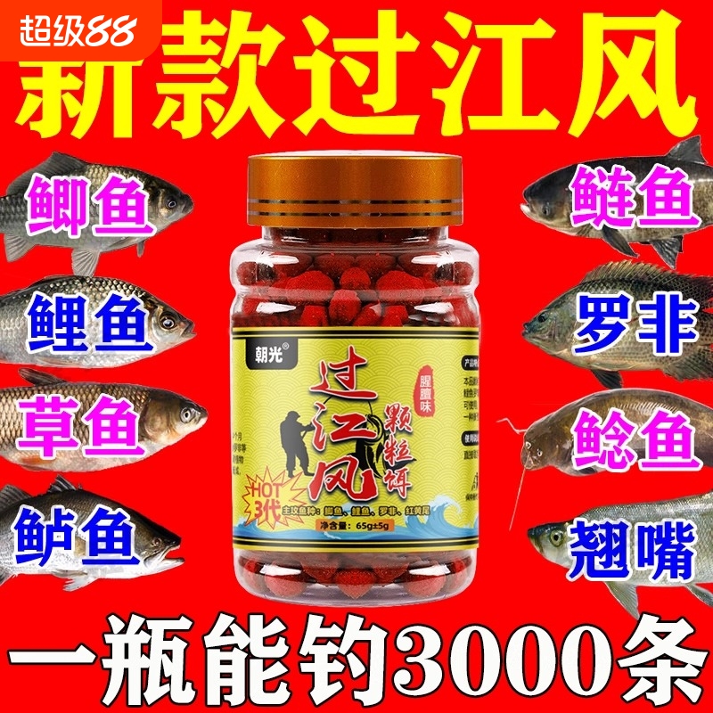 颗粒饵钓鱼饵料直接挂钩鲜丹颗粒超浓腥鲫鱼青鱼鲤鱼新款钓饵鲈鱼