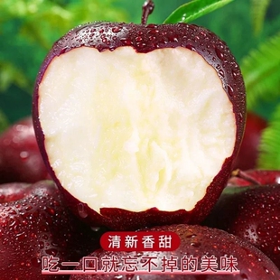 甘肃天水花牛苹果香甜多汁一果两吃高海拔苹果新鲜产地直发包邮