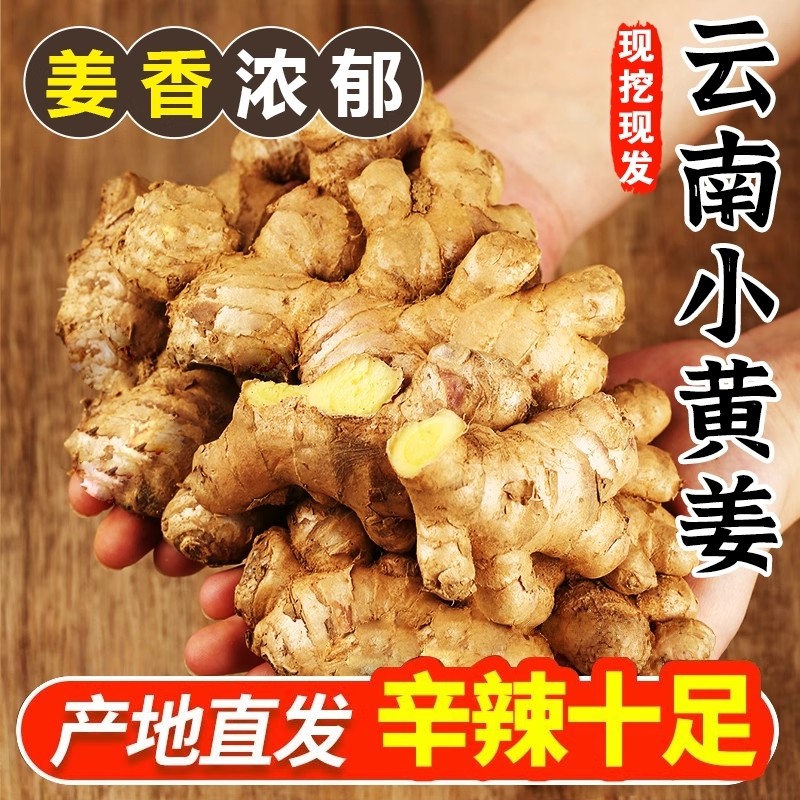 云南新小黄姜老姜生姜新鲜黄姜土姜现挖子姜嫩姜鲜姜嫩姜9斤包邮
