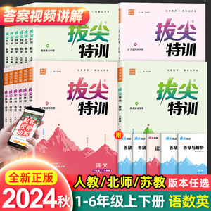 2024秋拔尖特训通成学典一1二2三3四4五5六6年级上册下册语文数学英语人教苏教版小学教材同步专项训练课时作业本通城学典