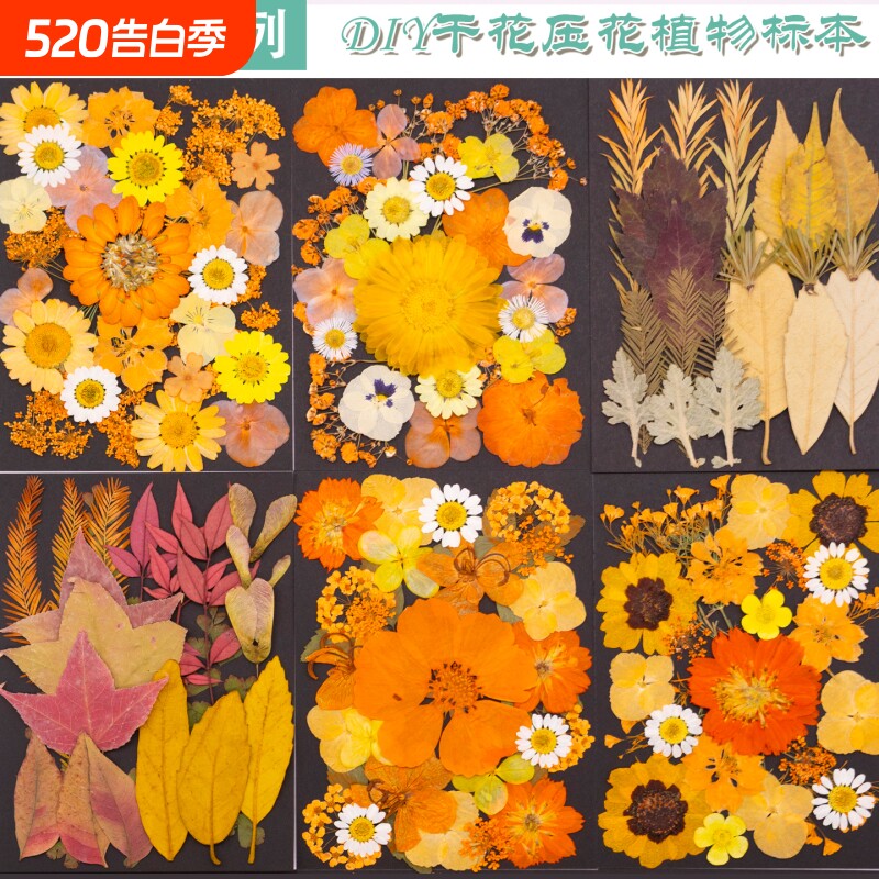 DIY干花压花植物标本真花叶子手工滴胶书签相框手作材料材料包